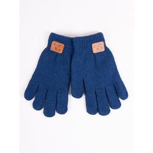 Yoclub Kids's Gloves RED-0229C-AA50-002 Navy Blue obraz