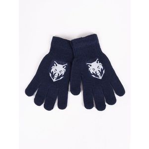 Yoclub Kids's Boys' Five-Finger Gloves With Reflector RED-0237C-AA50-005 Navy Blue obraz