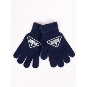 Yoclub Kids's Boys' Five-Finger Gloves RED-0233C-AA5B-003 Navy Blue obraz