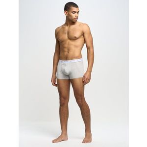Big Star Man's Boxer Shorts Underwear 200033 Grey 901 obraz