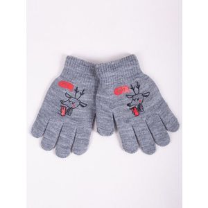 Yoclub Kids's Boys' Five-Finger Gloves RED-0012C-AA5A-010 obraz