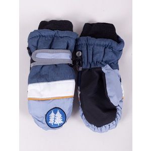 Yoclub Kids's Children's Winter Ski Gloves REN-0216C-A110 obraz