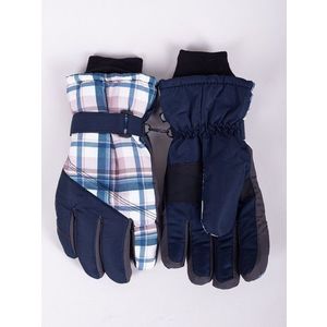 Yoclub Man's Men's Winter Ski Gloves REN-0264F-A150 obraz