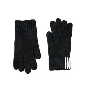 Classic black gloves obraz