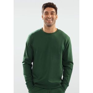 DKaren Man's Sweatshirt Justin obraz