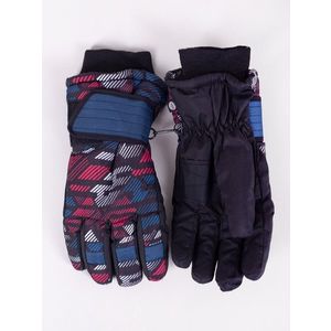 Yoclub Kids's Children's Winter Ski Gloves REN-0275C-A150 obraz