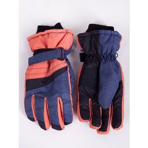 Yoclub Man's Men's Winter Ski Gloves REN-0272F-A150 obraz