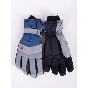Yoclub Man's Men's Winter Ski Gloves REN-0280F-A150 obraz