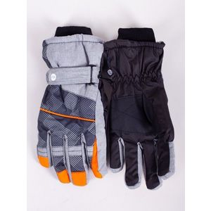Yoclub Man's Men's Winter Ski Gloves REN-0278F-A150 obraz