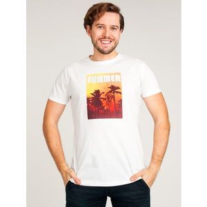 Yoclub Man's Cotton T-shirt PKK-0110F-A110 obraz