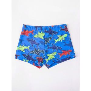 Yoclub Kids's Boy's Swimming Shorts LKS-0055C-A100 obraz
