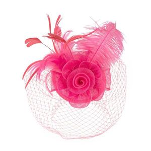 Art Of Polo Woman's Fascinator cz22175 obraz