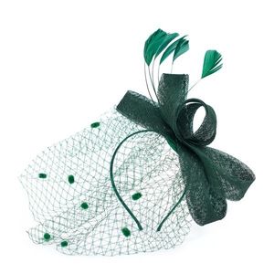 Art Of Polo Woman's Fascinator cz22171 obraz