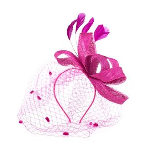 Art Of Polo Woman's Fascinator cz22171 obraz