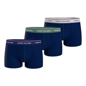 Tommy Hilfiger Woman's Underpants UM0UM016420Y0 Navy Blue obraz