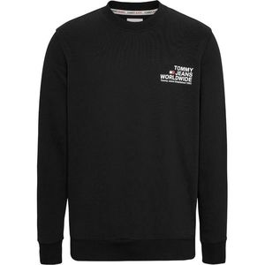 Tommy Hilfiger Jeans Man's Sweatshirt DM0DM17780 obraz