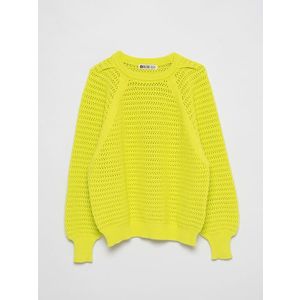 Big Star Woman's Sweater 161039 Lime Wool-300 obraz