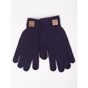 Yoclub Man's Gloves RED-0219F-AA50-011 Navy Blue obraz
