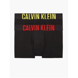 Pánské boxerky Calvin Klein DP-3249366 obraz