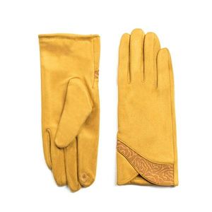 Art Of Polo Woman's Gloves rk20321 obraz