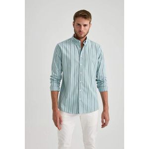 DEFACTO Modern Fit Woven Striped Long Sleeve Shirt obraz
