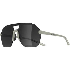 Alpina Sports BEAM I Lifestylové brýle, šedá, velikost obraz