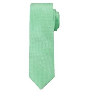 Jednobarevná světle zelená pánská kravata obraz
