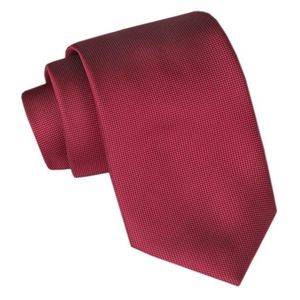 Módní bordó pánská kravata obraz