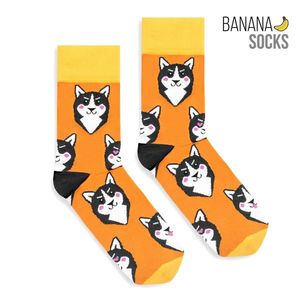 Banánové ponožky Unisex's Ponožky Klasický Husky obraz