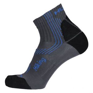 Ponožky HUSKY Hiking šedá/modrá obraz