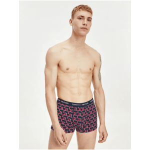 Modro-červené vzorované boxerky Tommy Hilfiger Underwear - Pánské obraz