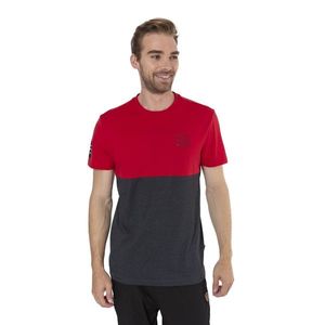 Šedo-červené pánské tričko SAM 73 obraz