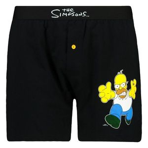 Pánské trenky The Simpsons - Frogies obraz