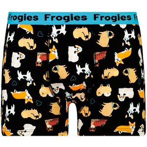 Pánské boxerky Frogies Dogs Love obraz