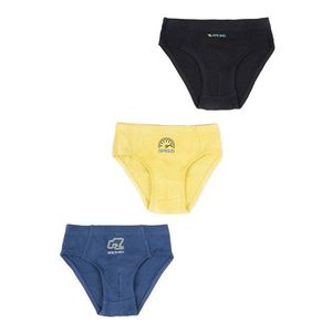 Yoclub Kids's Cotton Boys' Briefs Underwear 3-pack BMC-0027C-AA30-002 obraz