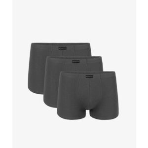 Pánské boxerky ATLANTIC 3Pack - šedé obraz