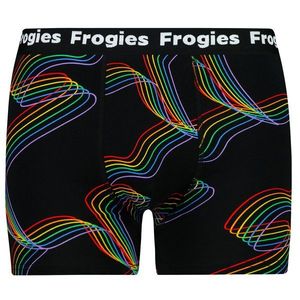 Pánské boxerky Frogies Pride obraz