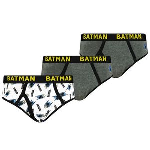Chlapecké slipy Batman 3ks Frogies obraz