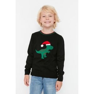 Trendyol Boy's Black Jacquard Knitwear Sweater obraz