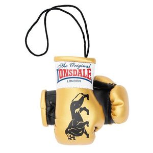 Miniaturní boxerské rukavice Lonsdale obraz