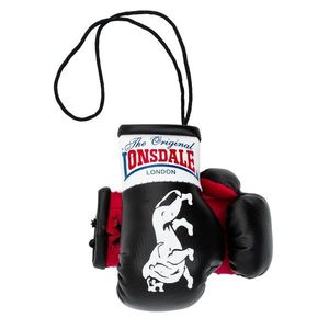 Lonsdale miniatury boxerských rukavic obraz