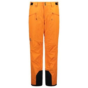 Pánské lyžařské kalhoty Quiksilve BOUNDRY obraz