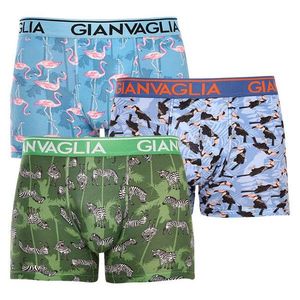 3PACK pánské boxerky Gianvaglia vícebarevné obraz