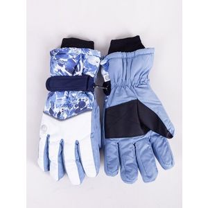 Yoclub Woman's Women's Winter Ski Gloves REN-0260K-A150 obraz