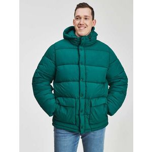 Zelená pánská bunda zimní s kapucí GAP obraz