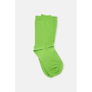 Dagi Zelené Ponožky obraz