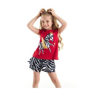 Denokids Ballerina Zebra Girls Dětské tričko Kraťasy Set obraz