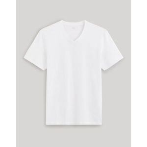 Bílé pánské basic tričko Celio Debasev obraz