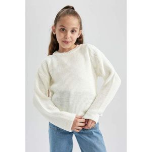 DEFACTO dívčí pravidelný střih pulovr s kulatým výstřihem obraz