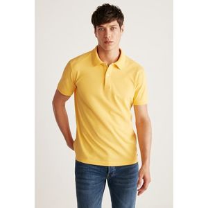 Pánské tričko s límečkem GRIMELANGE Chris, pravidelný střih, 100% bavlna, žluté. obraz